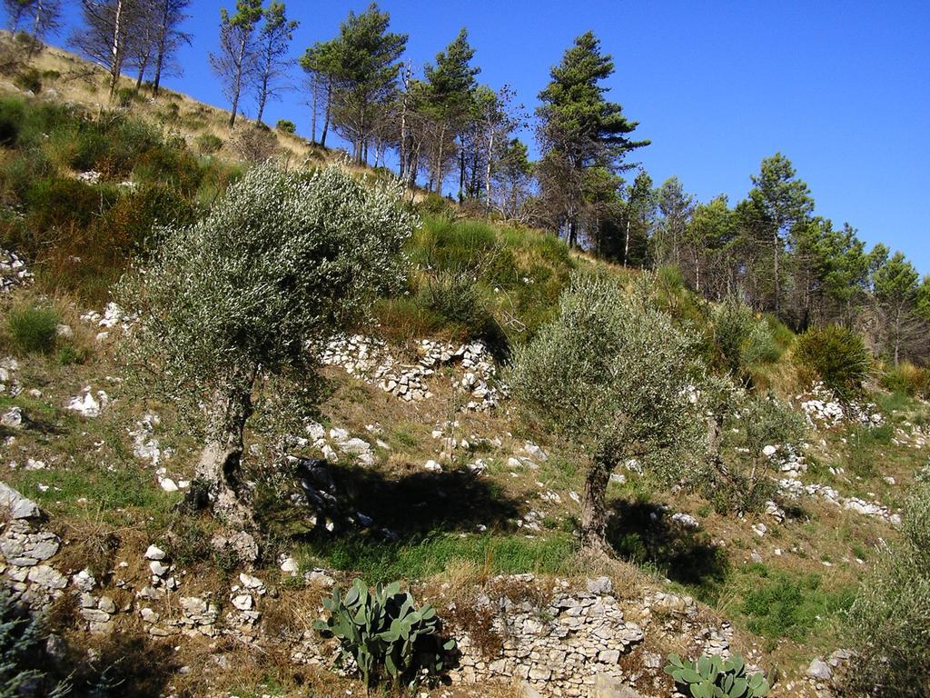דירות SantʼAgata deʼ Goti Sentieri Luminosi מראה חיצוני תמונה